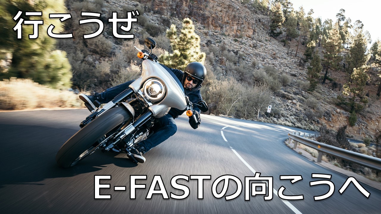 【Web動画付】外傷エコー診療のすすめ 外傷エコー診療のすすめ【Web動画付】 | 渡部欣忍, 最上敦彦
