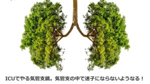 ICUでやる気管支鏡。気管支の中で迷子にならないようなる！