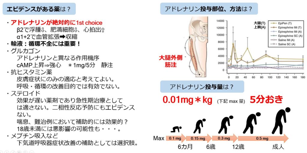 アナフィラキシーの治療